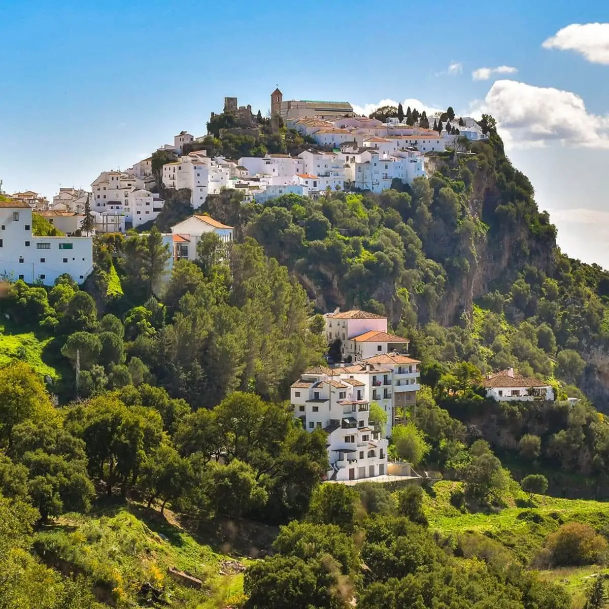 Casares: – La Maison Banus