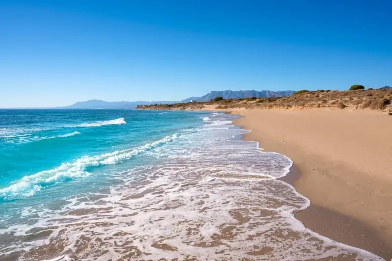 Les Plages et Beach Clubs de Puerto Banus – La Maison Banus