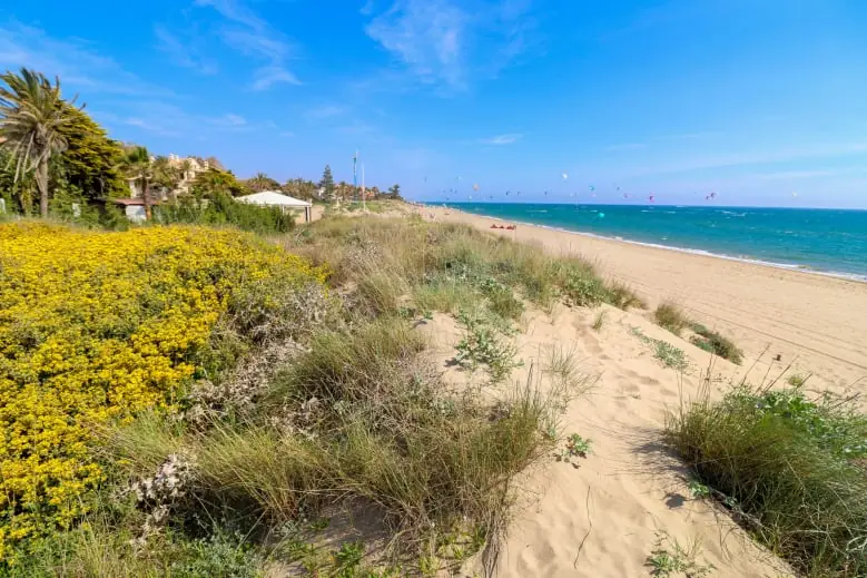 Playa de los Monteros – La Maison Banus